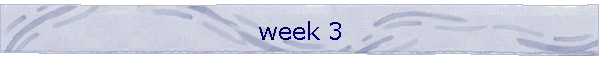 week 3