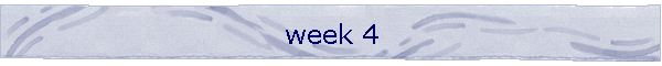 week 4
